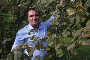 Fındıkta tehdit oluşturan Kahverengi Kokarca böceği kışı evlerde saklanarak geçiriyor